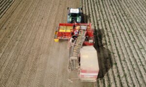 arracheuse pomme de terre airsep