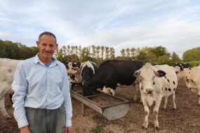 Un homme en pantalon et chemise pose devant des vaches sur une parcelle de nuit