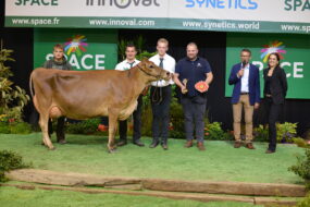 Une vache jersiaise avec un groupe de personnes posent sur le podium d'un concours bovin