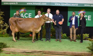 Une vache jersiaise avec un groupe de personnes posent sur le podium d'un concours bovin