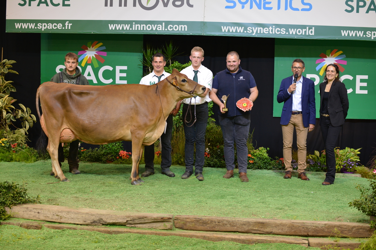 Une vache jersiaise avec un groupe de personnes posent sur le podium d'un concours bovin - Illustration Tetropbell porte bien son nom