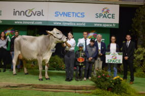 Une vache Brune avec un groupe de personnes posent sur le podium d'un concours bovin