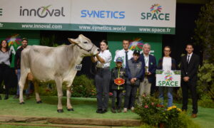 Une vache Brune avec un groupe de personnes posent sur le podium d'un concours bovin