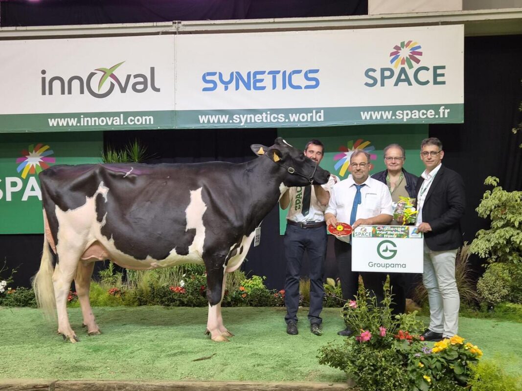 Jérôme Moy, président Groupama Loire Bretagne, remet le premier prix de vaches en cours de 2<SUP>e</SUP> lactation, race Prim’Holstein à JLD Lelta du Gaec du Bois Brillant (49).