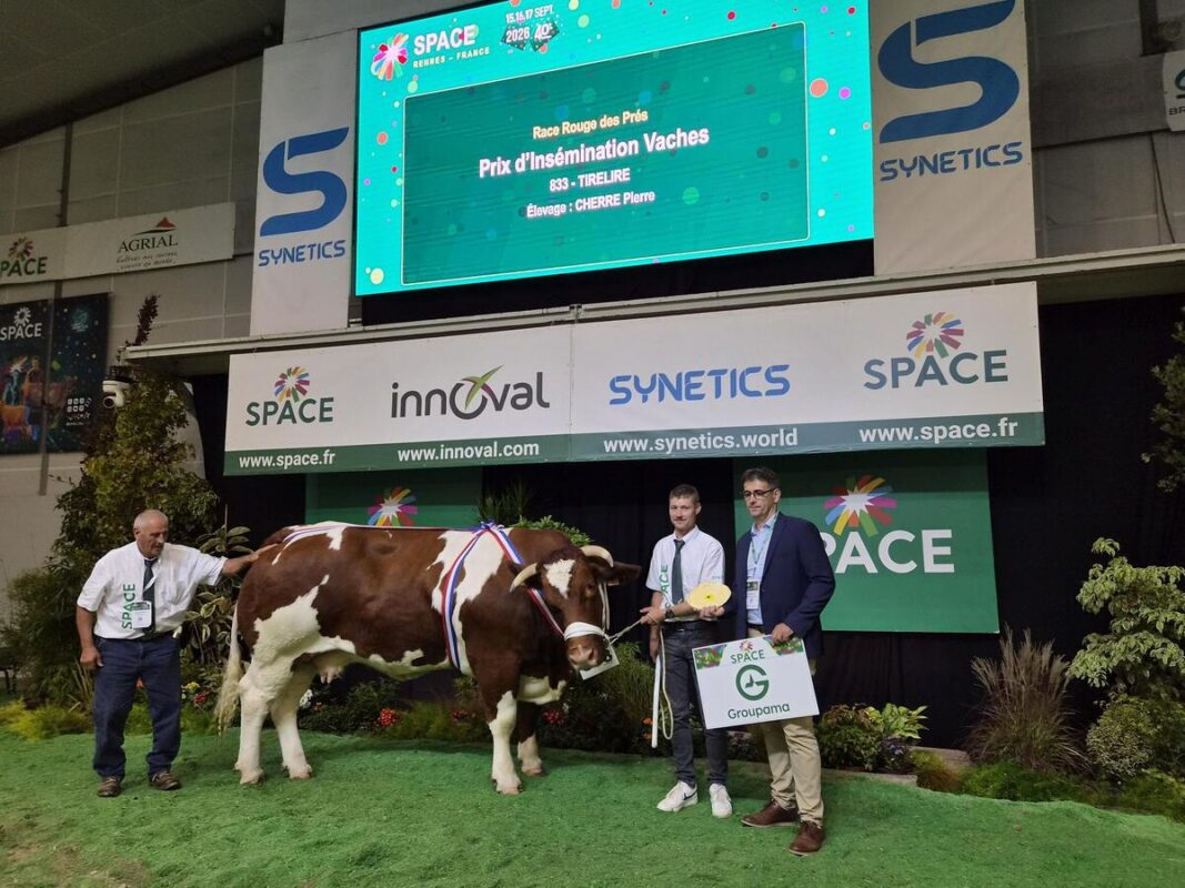 Jérôme Moy, président Groupama Loire Bretagne, remet le premier prix du concours Rouge des Prés
à Tirelire de l'élevage Cherre Pierre (72).