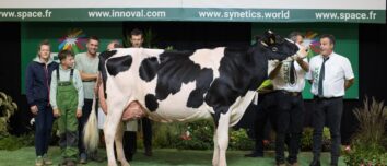 Entourée d'éleveurs, une vache de race Holstein sur le podium d'un concours de bovins