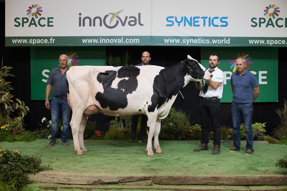 Une vache de race Holstein avec des éleveurs sur le podium d'un concours de bovins
