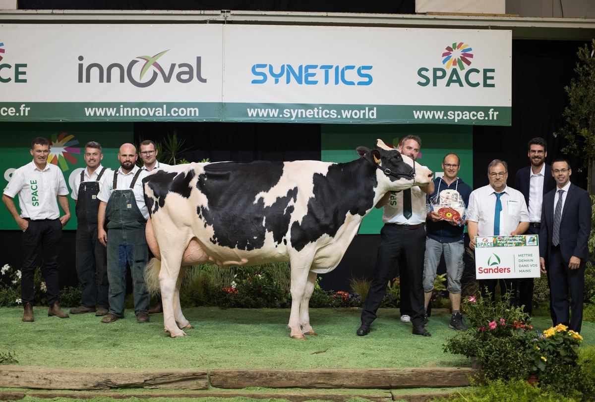 Une vache de race Holstein avec des éleveurs sur le podium d'un concours de bovins