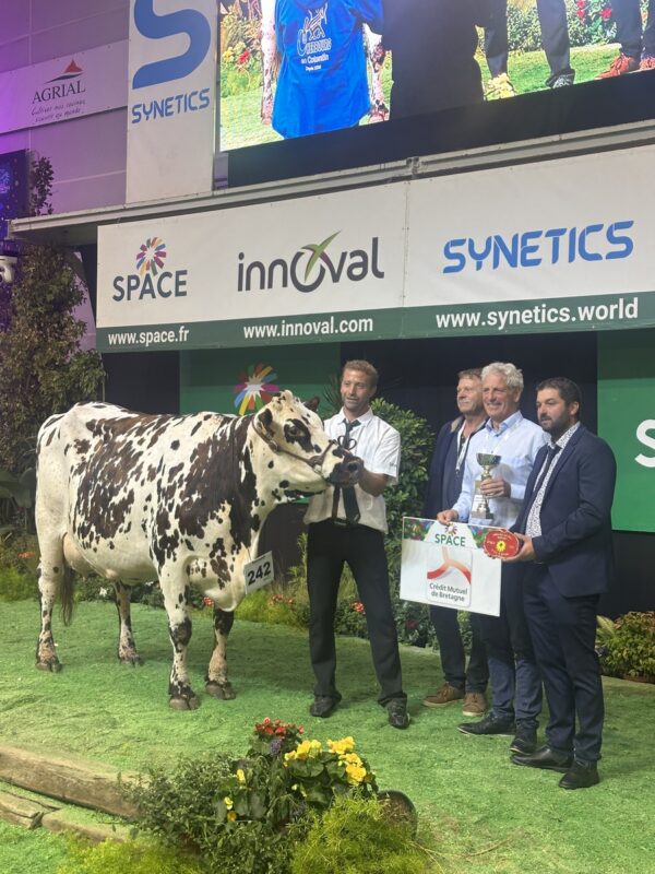 Une vache et un groupe de personnes posent sur le podium d'un concours bovin