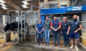 Quatre éleveurs et une éleveuse devant la stalle d'un robot de traite d'où sort une vache de race Holstein