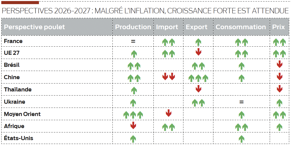 tableau des perspectives 2026 2027 pour la production de poulet dans le monde