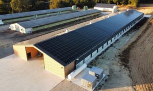 Vue aérienne d'un bâtiment neuf dans une exploitation agricole