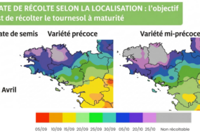 Carte de la Bretagne avec des préconisations de dates de récolte du tournesol