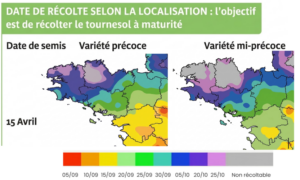 Carte de la Bretagne avec des préconisations de dates de récolte du tournesol