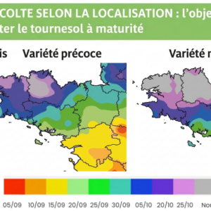 Carte de la Bretagne avec des préconisations de dates de récolte du tournesol