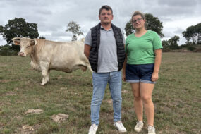 Un homme et une femme devant une cache Charolaise dans un champ