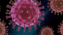 vue macro d'un virus