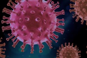 vue macro d'un virus