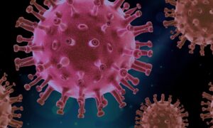 vue macro d'un virus
