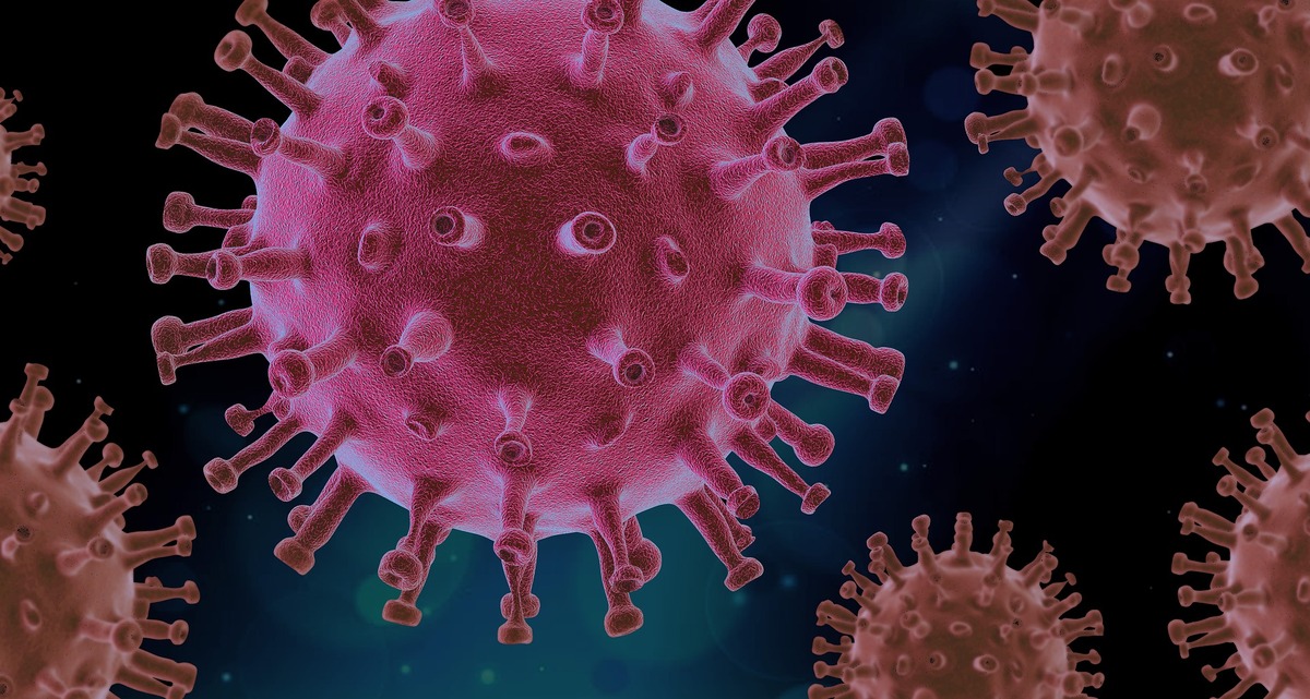 vue macro d'un virus - Illustration Une facture plus lourde qu’en 2022 ?