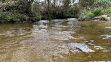 Un cours d'eau dans un paysage de bocage