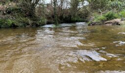 Un cours d'eau dans un paysage de bocage