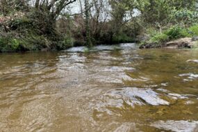 Un cours d'eau dans un paysage de bocage