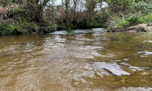 Un cours d'eau dans un paysage de bocage