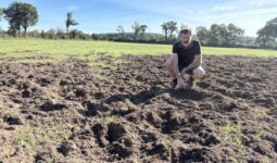Un homme dans une parcelle agricole visitée par des sangliers