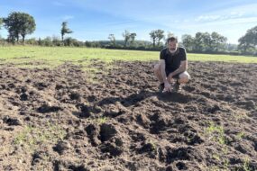 Un homme dans une parcelle agricole visitée par des sangliers