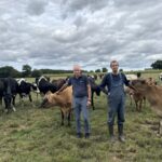 Deux éleveurs dans une prairie entourés de leurs vaches de races Holstein et Jersiaise