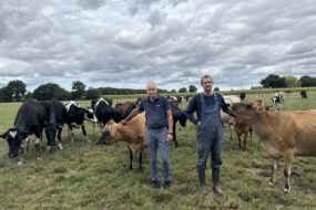 Deux éleveurs dans une prairie entourés de leurs vaches de races Holstein et Jersiaise