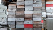Réhausses de ruches stockées sous un hangar