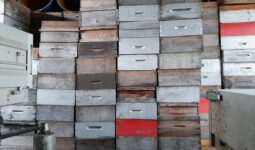 Réhausses de ruches stockées sous un hangar