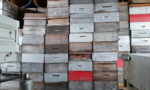 Réhausses de ruches stockées sous un hangar