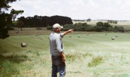 Un homme dans une prairie