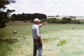 Un homme dans une prairie