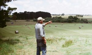 Un homme dans une prairie