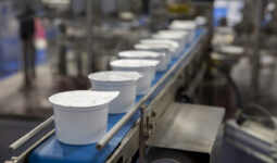 ligne de production de yaourts