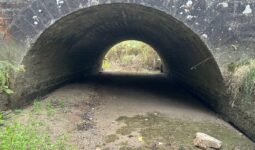 Un pont sur une rivière à sec