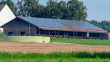 Un bâtiment d'élevage avec une couverture en panneaux photovoltaïques