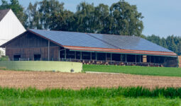 Un bâtiment d'élevage avec une couverture en panneaux photovoltaïques