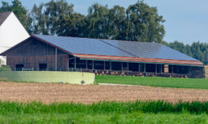 Un bâtiment d'élevage avec une couverture en panneaux photovoltaïques