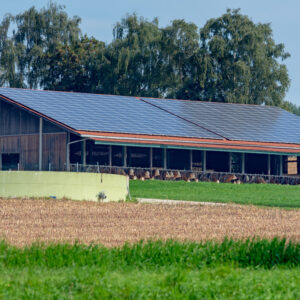 Un bâtiment d'élevage avec une couverture en panneaux photovoltaïques