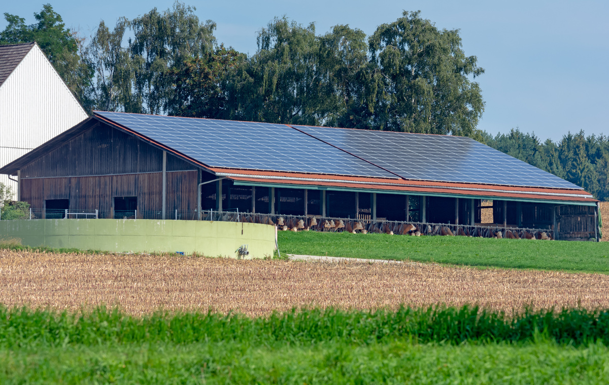 Un bâtiment d'élevage avec une couverture en panneaux photovoltaïques - Illustration Photovoltaïque : valoriser son toit
