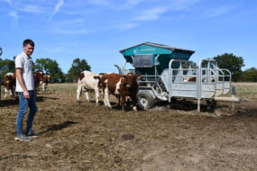 un éleveur dans un champ avec des vaches Rouges des prés en train de manger au distributeur automatique de concentré mobile (Dac)