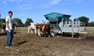 un éleveur dans un champ avec des vaches Rouges des prés en train de manger au distributeur automatique de concentré mobile (Dac)
