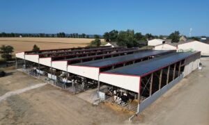 Un bâtiment d'élevage laitier vu du ciel
