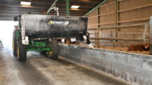 Une trémie mélangeuse distributrice attelée à un tracteur distribue la ration dans un bâtiment d'élevage de bovin