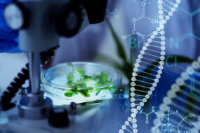 microscope en laboratoire avec des plants dans des boîtes de pétri et symboles d'